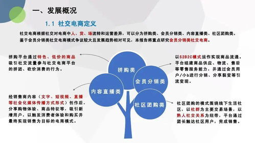 《電子商務技術服務合規啟示 基于中國社交電商合規研究報告的分析》